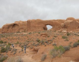 Arches in Arches National Park