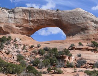 Arches in Arches National Park