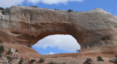 Arches in Arches National Park