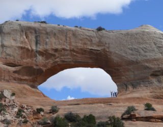 Arches in Arches National Park