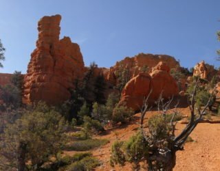 Bryce Canyon West-USA met kinderen