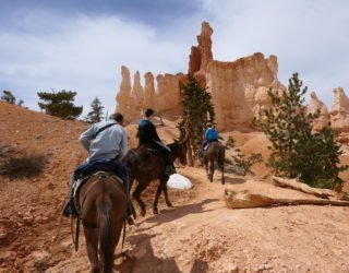 Trotseer de Bryce Canyon als een echte cowboy