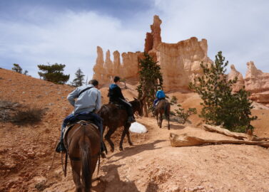 Trotseer de Bryce Canyon als een echte cowboy