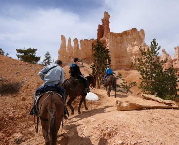 Trotseer de Bryce Canyon als een echte cowboy