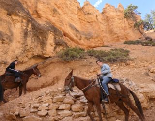 als een cowboy door de valley