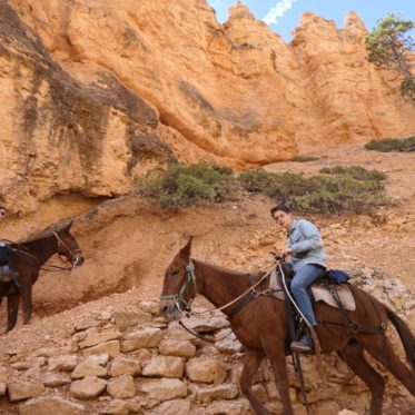 als een cowboy door de valley