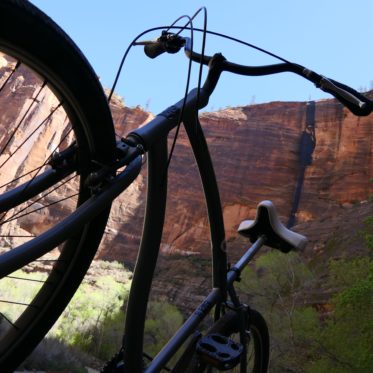 Op de fiets cruisen door Zion National Park