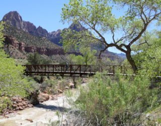 Zion National park met kinderen