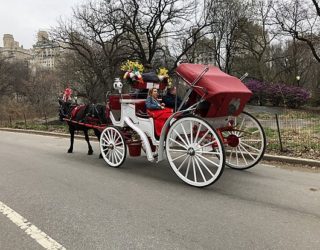 Ga op stap met de fiets door Central Park