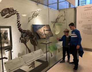 Natural Museum of History met kinderen