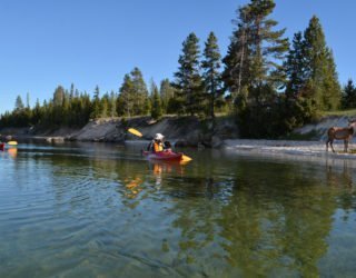 Verken Yellowstone Lake per kayak