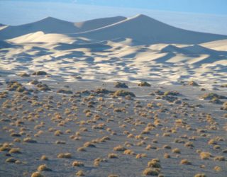 Mojave-woestijn: Death Valley met kinderen