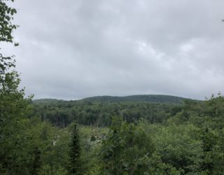 hiken in de bossen Canada