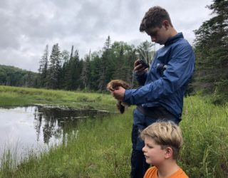 hiken in de bossen Canada