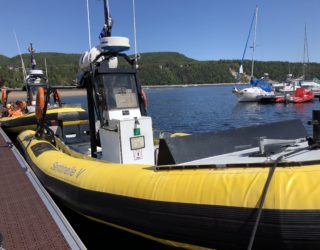 walvissencruise in Tadoussac, Canada