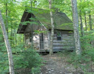 Chalet in het midden van de bossen Canada