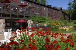 HOTEL Wilde beren spotten in Duchesnay