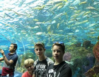 Ripley's aquarium Toronto