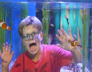 Ripley's aquarium