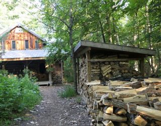 chalet in het midden van de bossen