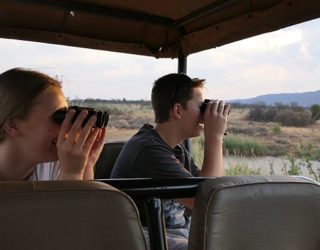 In de Jeep op echte safari