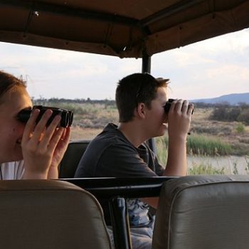 In de Jeep op echte safari