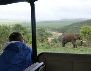 Olifanten spotten in Zuid-afrika met kinderen