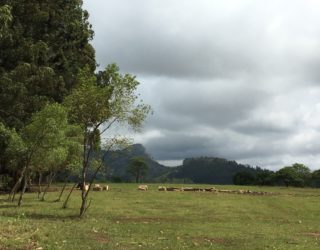 Mountainbiken in een wildreservaat in Swaziland