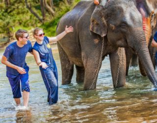 Maewang National Park  trektocht met kinderen, met olifanten