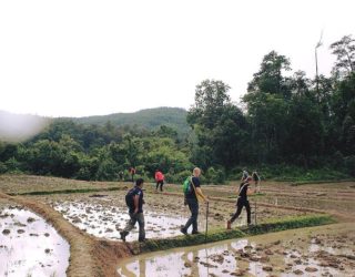 Maewang National Park  trektocht met kinderen, door rijstvelden