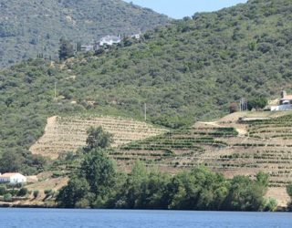 Cruisen langs de wijnranken op de Douro rivier