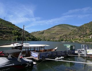 Cruisen langs de wijnranken op de Douro rivier