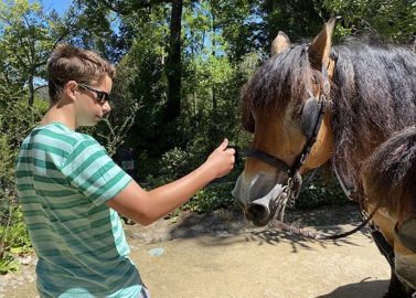 Finn bij paard en kar