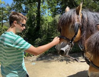 Met paard en kar door Portugal