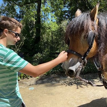 Met paard en kar door Portugal