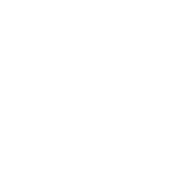 trein icon