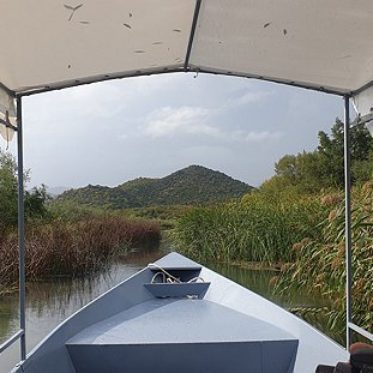 vogels spotten op het meer van skadar