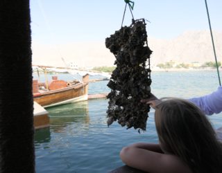 oesters uit water halen