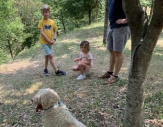 Truffels zoeken met honden en kinderen in Istrië