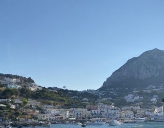 Zicht op haven en huisjes van Capri