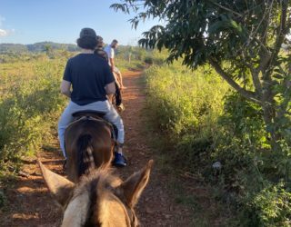 paardrijden in de velden in de vinales met finn voorop