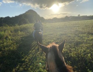 paardrijden in de velden in de vinales