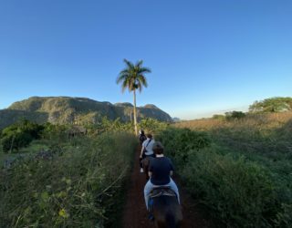 paardrijden in de velden in de vinales