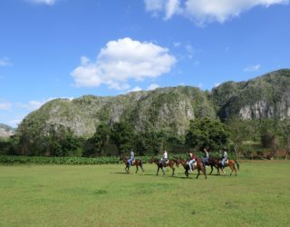 paarden met ruiters in de vallei in de vinales