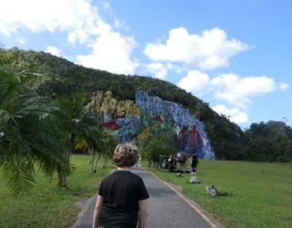 Wolf die voor mural de la historia in vinales staat