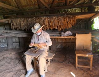 tabaksboer in vinales rolt sigaar