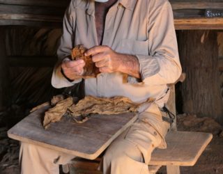 tabaksboer in vinales rolt sigaar