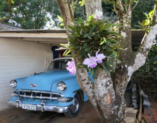 oldtimer voor huis in vinales