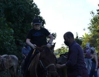 wolf die op zijn paard stijgt in de vinales