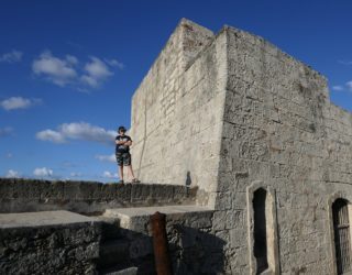 Wolf aan kasteel Morro in Havana